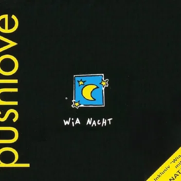 Wia Nacht by Pushlove - album cover