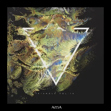 Triangle, Vol. 10 by Various Artists - album cover