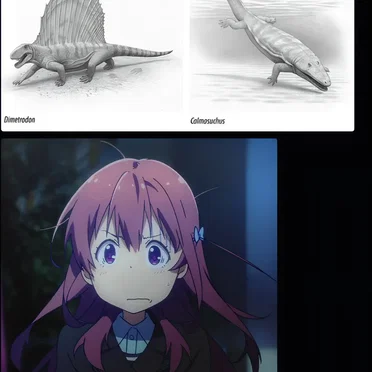 Contextualfilter Mapper