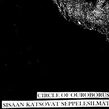 Sisään katsovat seppelesilmät