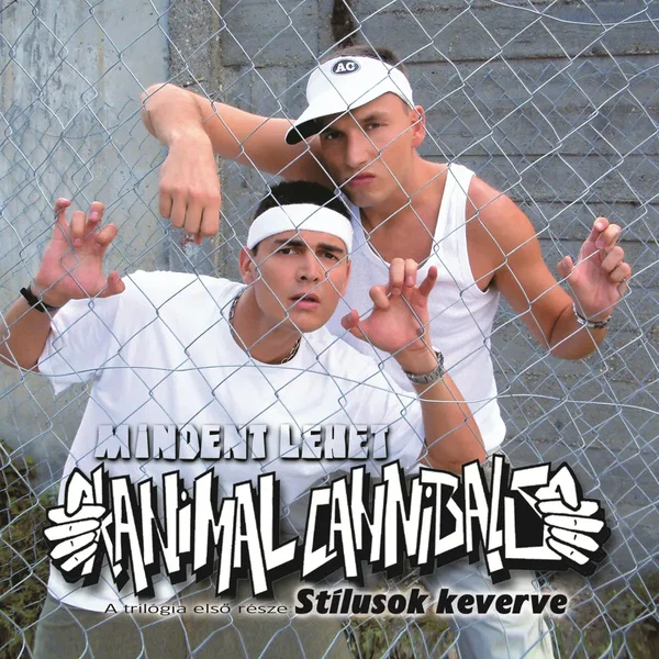 Mindent lehet - A trilógia első része: Stílusok keverve