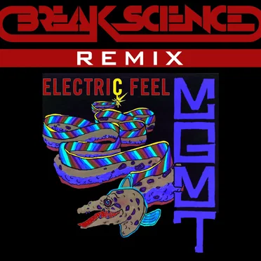 Electric Feel Remix