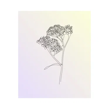 Yarrow by 100 Day Delay - album cover