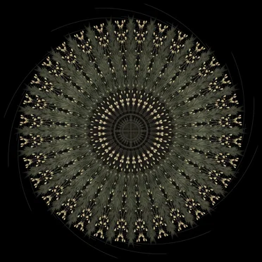 Rivers Within Shadows by Blood of the Black Owl - album cover