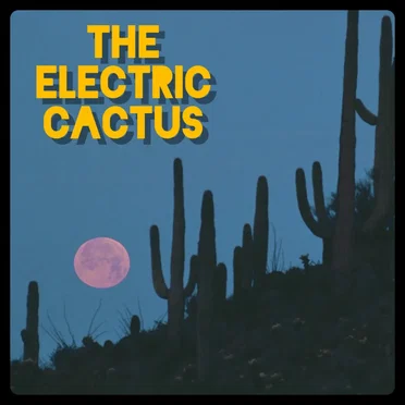 Demolish by The Electric Cactus - album cover