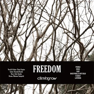 FREEDOM