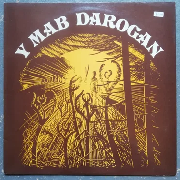 Y Mab Darogan by Cwmni Theatr Ieuenctid Maldwyn - album cover