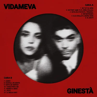 Vida meva