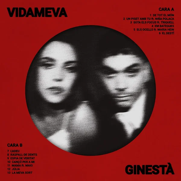 Vida meva