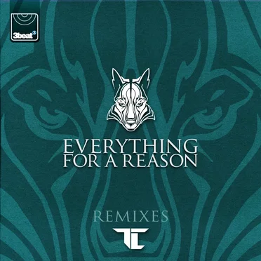 Everything for a Reason (remixes)