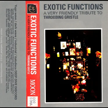 Exotic Functions: A Very Friendly Tribute to Throbbing Gristle by Various Artists - album cover