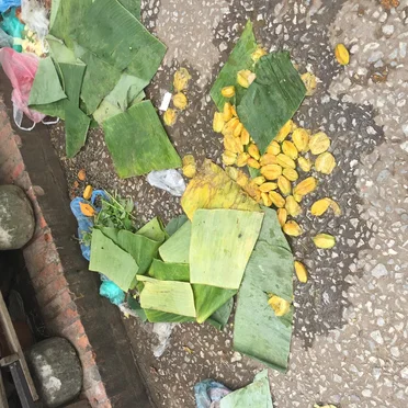 Starfruit