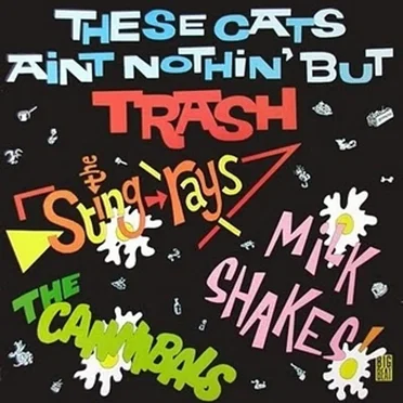 These Cats Ain't Nothing but Trash by Various Artists - album cover
