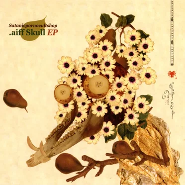 .aiff Skull EP