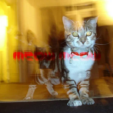 Sociocat E.P. by Meow Meow - album cover