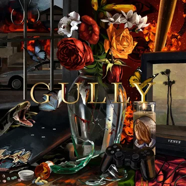 Gully (Original Motion Picture Soundtrack) by Various Artists - album cover