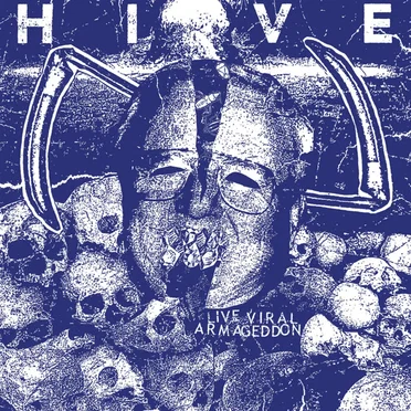 Hive