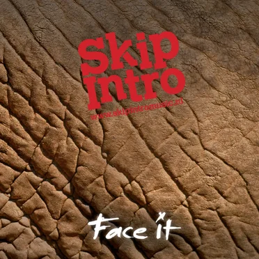 Face It by Skip Intro - album cover
