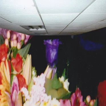 URGENT MY BLOOD FOR YOU