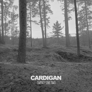 Cardigan by Twenty One Two - album cover