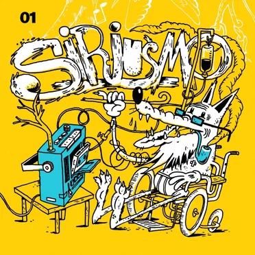 Pearls & Embarrassments: 2000 - 2010