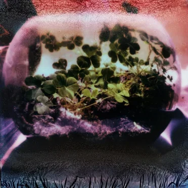 Forever by Death of Heather - album cover