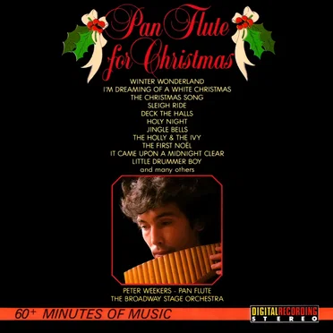 Pan Flute for Christmas