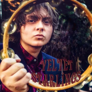 Velvet Starlings EP