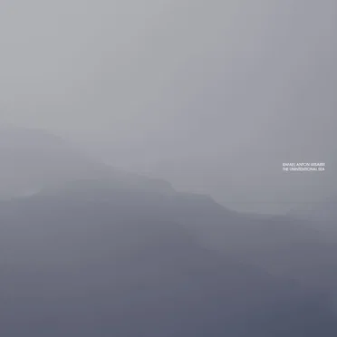 The Unintentional Sea