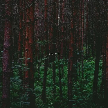 Suvi