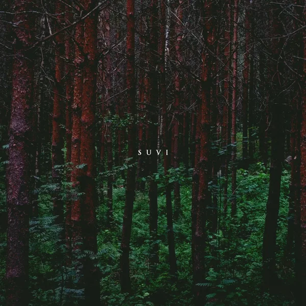 Suvi