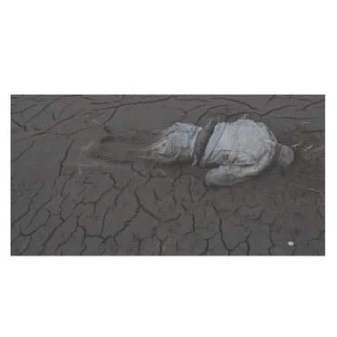 Extinction Process VIII
