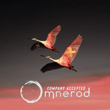 Company Accepted