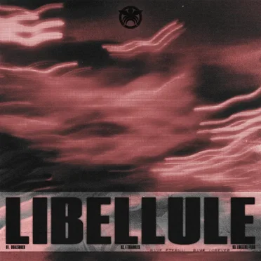 Libellule