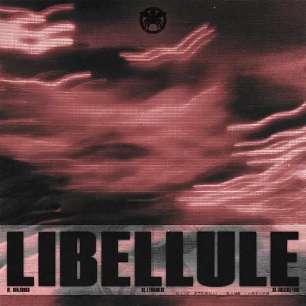 Libellule