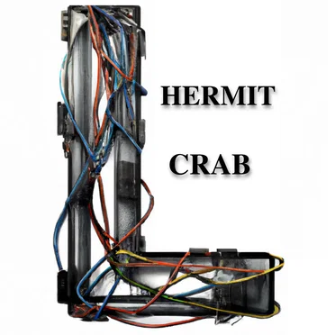 Hermit Crab