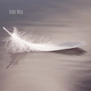 Vidda Miaa by Sebastian Rincon - album cover