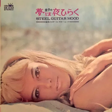 Steel Guitar Mood