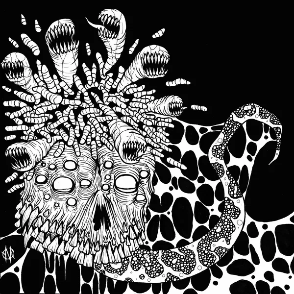 Maggots