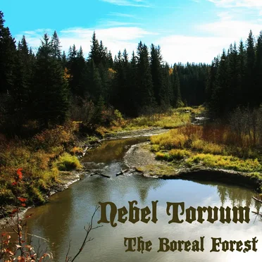 The Boreal Forest by Nebel Torvum - album cover