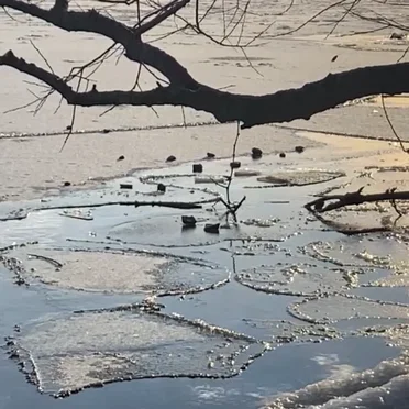 River ❅