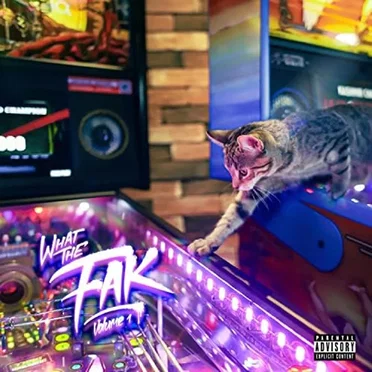 What The Fak vol.1 by Fakir - album cover