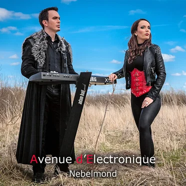 Nebelmond by Avenue d'Electronique - album cover