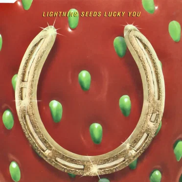 Lucky You
