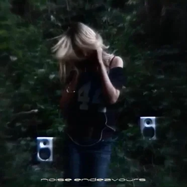 Noise Endeavours