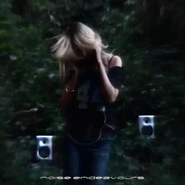 Noise Endeavours