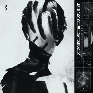 Pareidolia Instrumental by Subvoid - album cover