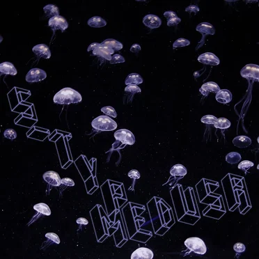 Medusa EP by S-Type - album cover