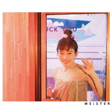 MEiSTER by Various Artists - album cover