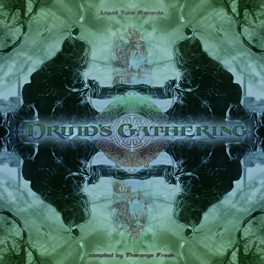 Druid’s Gathering by Various Artists - album cover